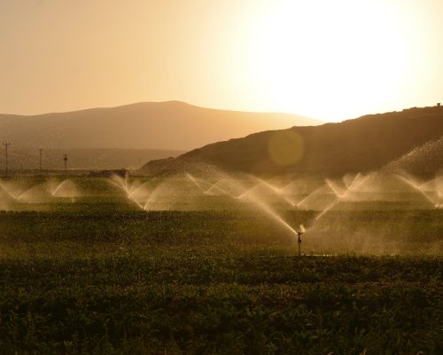 Agroindustrias